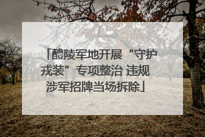 醴陵军地开展“守护戎装”专项整治 违规涉军招牌当场拆除